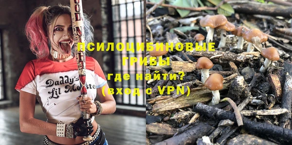 Альфа ПВП Арсеньев