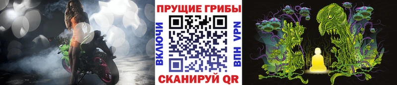 магазин    Гай  Галлюциногенные грибы Magic Shrooms 